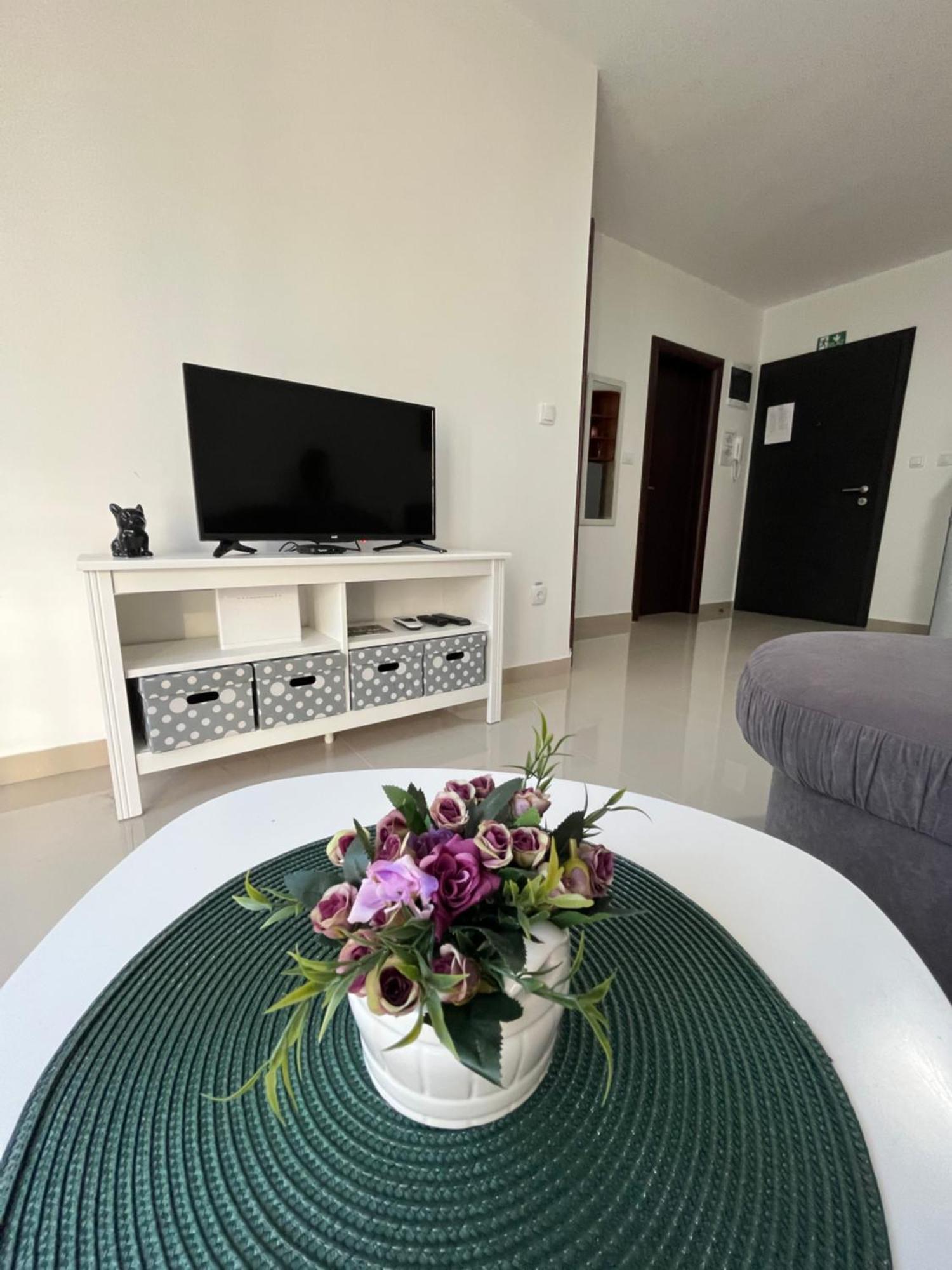 Apartman Miletic Ostrovo ภายนอก รูปภาพ